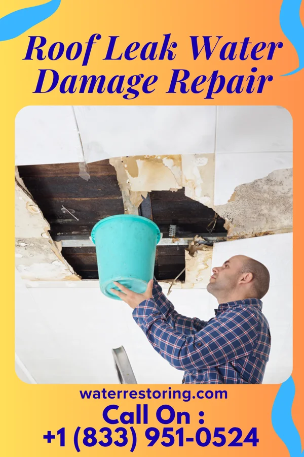 Roof Leak Water Damage Repair in Onalaska, TX